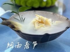 -梧桐