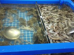 -青岛蓝海大饭店·爱琴海自助餐厅(崂山店)