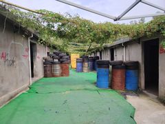 -东湖小天池真人CS彩弹野战基地