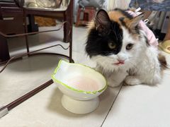 -达爱动物医院·犬猫分区·CT·复杂眼科(远洋山水分院)