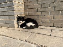 -西安碑林博物馆