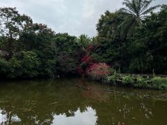 -海南热带野生动植物园