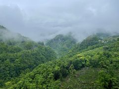 -石台牯牛降景区