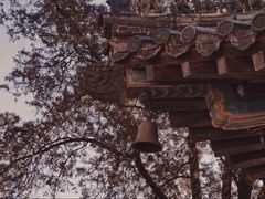 -潭柘寺景区