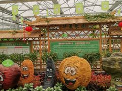 -兰陵国家农业公园