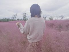 -白鹭湾湿地公园