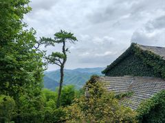 -莫干山风景区
