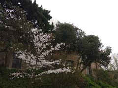 -紫金山天文台