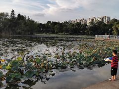 -新江湾城公园