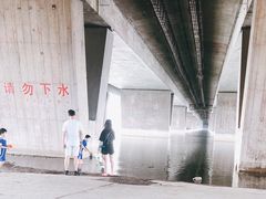 -绿堤公园