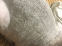 -酷狗靓猫宠物·洗护·美容·寄养(航北路店)