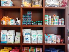 -宠爱国际动物医院· 猫科· 外科·中兽医(长白店)