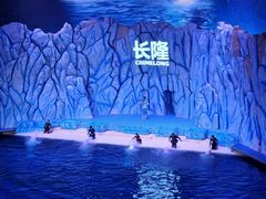 -珠海长隆海洋王国