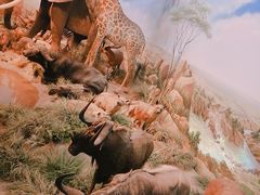 -陕西自然博物馆