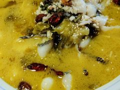 -小杨烤肉(朱雀店)