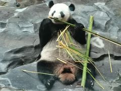 -济南野生动物世界