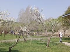 -哈尔滨北方森林动物园