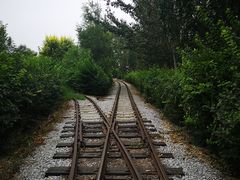 -西青郊野公园