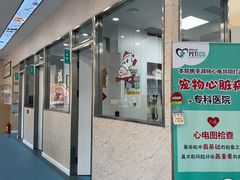 -东日国际动物医院·CT·心脏专科(桃源分院)