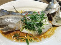 -百年银屏蚝烙·潮汕菜·非遗(乐山店)
