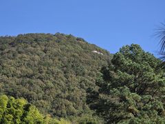 -宝岩生态观光园