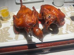 -大鸽饭(动物园店)