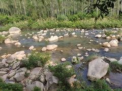 -四会奇石河风景区