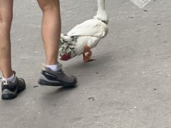 -邢老三肉丸糊辣汤·非遗美食(西安总店)