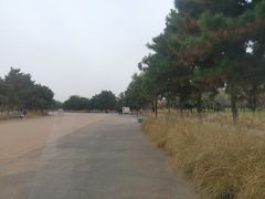 -汉长安城未央宫国家考古遗址公园