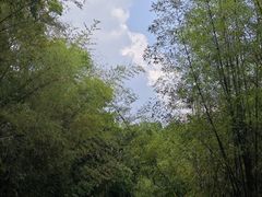 -孔雀湖生态旅游区