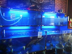 -姜君·千岛湖鱼头馆(浦东大道店)