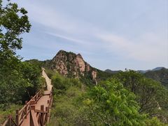 -大岭沟猕猴桃谷风景区