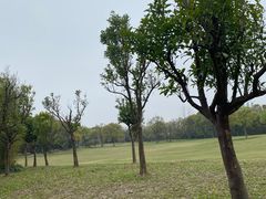 -上海吴淞炮台湾国家湿地公园