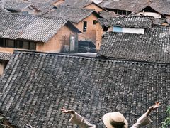 -杨家堂村