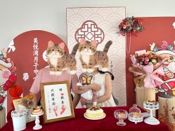 -美悦湾月子中心(熙湖店)