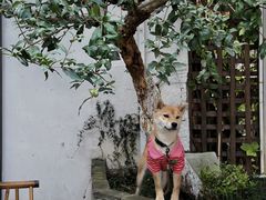 -青果巷历史文化街区