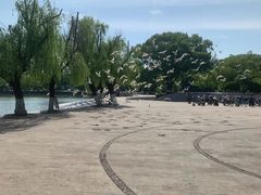 -上海交通大学(闵行校区)