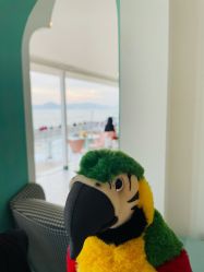 -兴亚瑜伽20年老馆