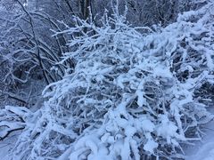 -鳌山滑雪度假区