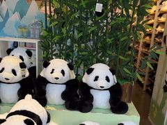 -名创优品(青羊窄巷子店)