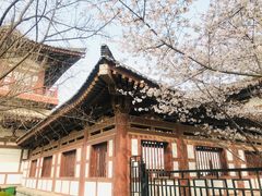-西安青龙寺遗址景区