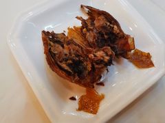 -九花山烤鸭店