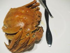 大闸蟹母3.5两-徐记海鲜(南油永新汇店)