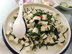 沙葱拌豆腐-宁夏国强手抓羊肉·清真菜(未央路凤三店)