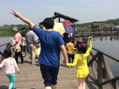 -溱湖国家湿地公园