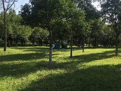 -洨河生态公园
