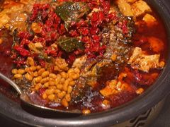 -探鱼·鲜青椒爽麻烤鱼(天河优托邦店)