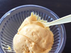 -九龙茶餐厅(朝阳兴隆大家庭朝阳店)