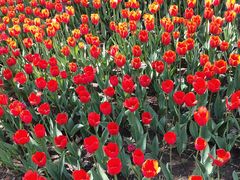 -长春公园(普阳街道)