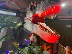 -恐龙探索乐园(磁器口店)